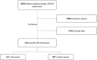 Risk factors and a Bayesian network model to predict ischemic stroke in patients with dilated cardiomyopathy